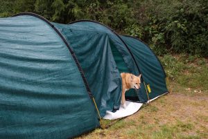 Best Tent for Camping with Dog
