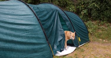Best Tent for Camping with Dog