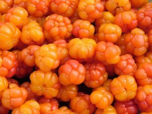 Cloudberries - wild berries