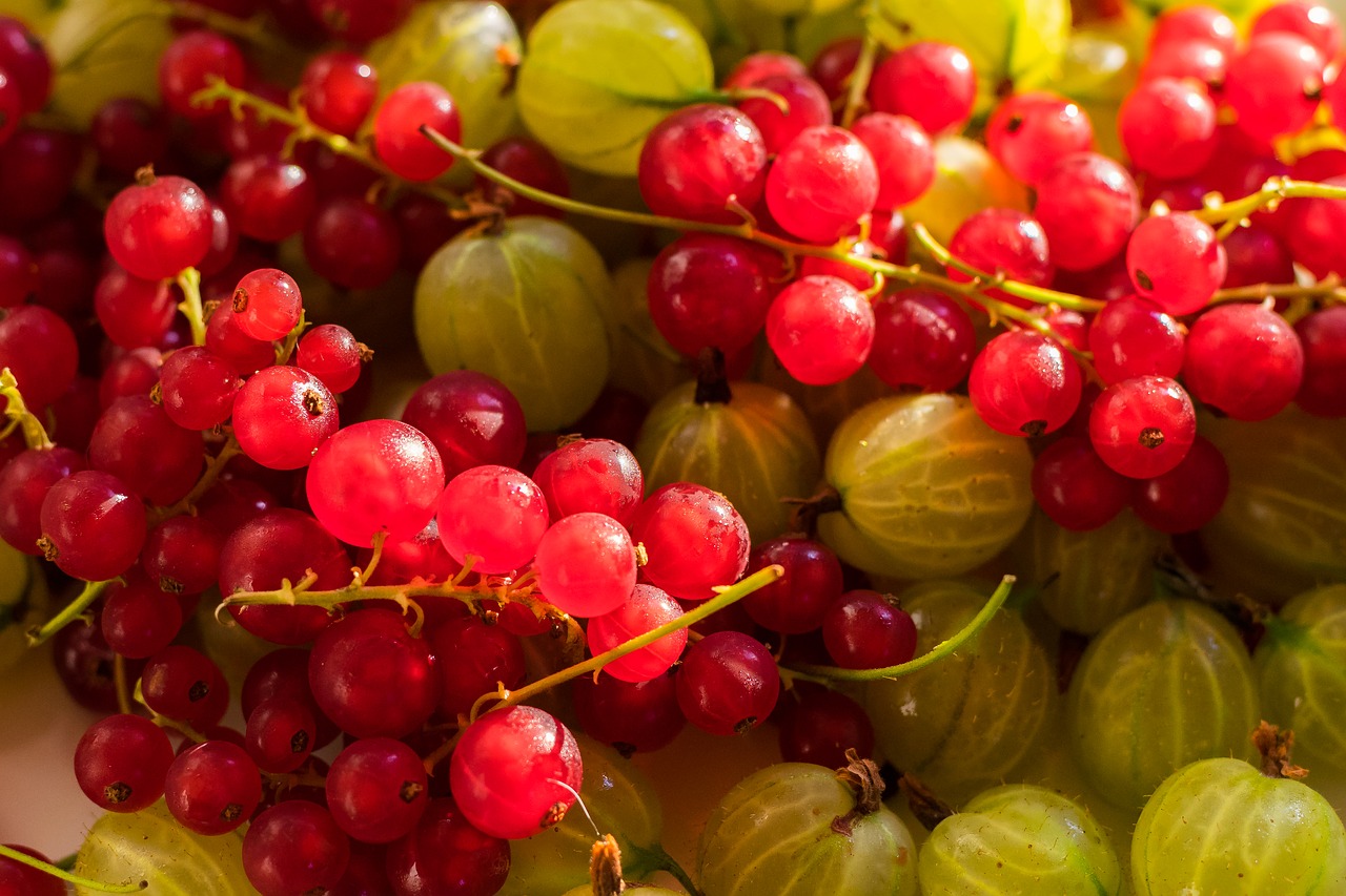 10 Incredibly Safe Berries to Eat In The Wild - Outdoor Fads