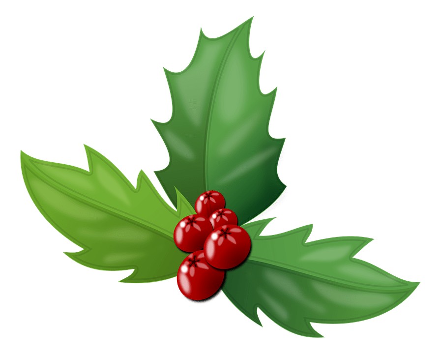 How to Identify Poison Berries & 10 Poisonous Wild Berries to Avoid