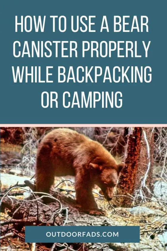 how-to-use-a-bear-canister-properly-while-backpacking-outdoor-fads