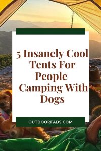 Best Tent for Camping with Dog