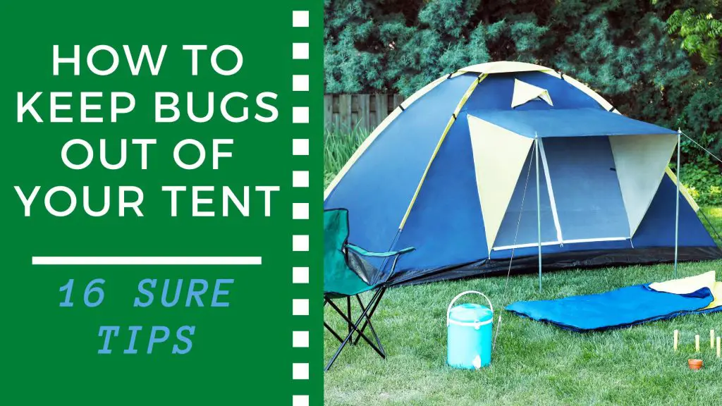 How to Keep Bugs Out of Your Tent 16 Sure Tips Outdoor Fads